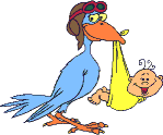 stork